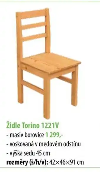 Židle Torino 1221V