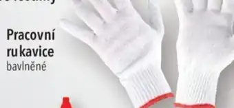 Globus Pracovní rukavice bavlněné nabídka