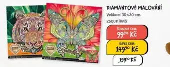 DIAMANTOVÉ MALOVÁNÍ