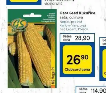 Tesco Gara seed kukuřice nabídka
