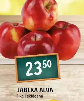 Terno JABLKA ALVA nabídka