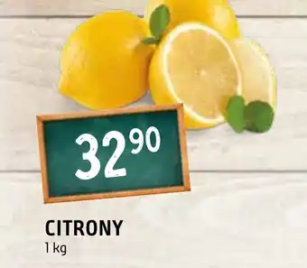 Terno CITRONY nabídka