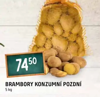 Terno BRAMBORY KONZUMNÍ POZDNÍ nabídka