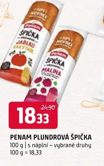 PENAM PLUNDROVÁ ŠPIČKA