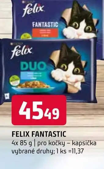 Terno FELIX FANTASTIC nabídka