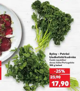 Kaufland Byliny - petržel hladkolistá / kudrnka nabídka