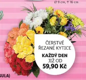 Lidl Čerstvé řezané kytice nabídka