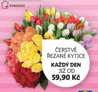 Lidl Čerstvé řezané kytice nabídka