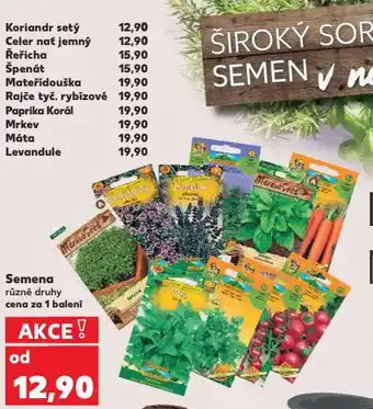 Řeřicha