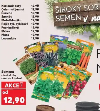 Kaufland Levandule nabídka
