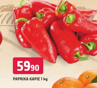 Trefa PAPRIKA KAPIE 1 kg nabídka