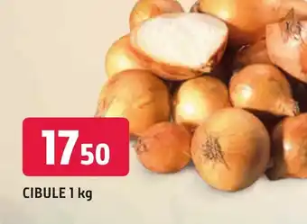 Trefa CIBULE 1 kg nabídka