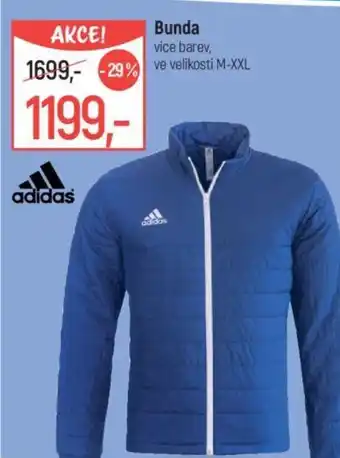 Globus Bunda nabídka