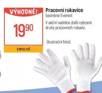 Globus Pracovní rukavice nabídka