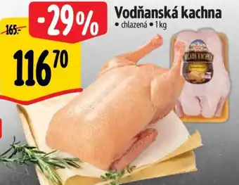Albert Vodňanská kachna nabídka