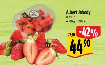 Albert Albert Jahody nabídka