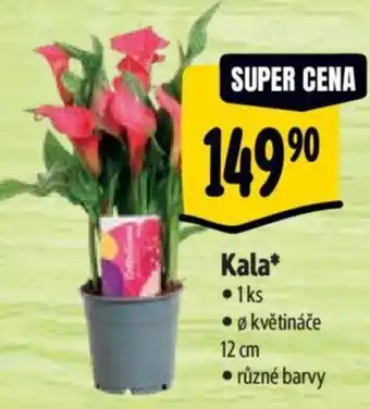 Albert Kala nabídka