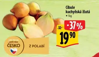 Albert Cibule kuchyňská žlutá nabídka