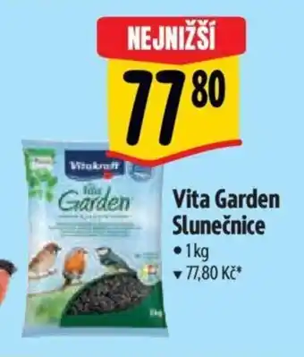 Albert Vita Garden Slunečnice nabídka
