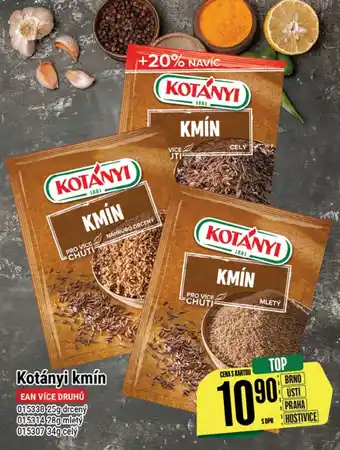 Tamda Foods Kotányi kmín nabídka