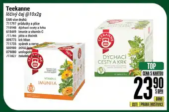 Tamda Foods Teekanne léčivý čaj 10x2g nabídka