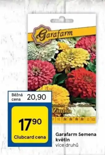 Tesco Garafarm Semena květin nabídka
