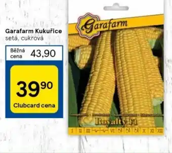 Tesco Garafarm Kukuřice nabídka