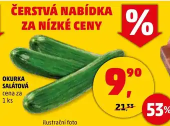 Penny Market OKURKA SALÁTOVÁ nabídka