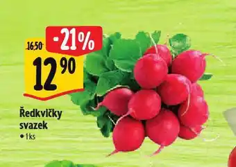 Albert Ředkvičky svazek nabídka