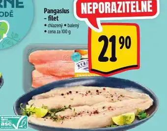 Albert Pangasius filety nabídka