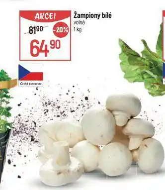 Globus Žampiony nabídka