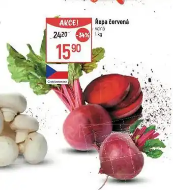 Globus Řepa červená nabídka