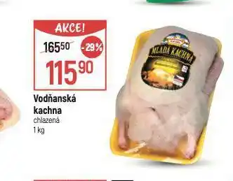 Globus Vodňanská kachna nabídka