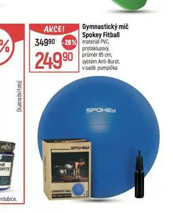 Globus Gymnastický míč nabídka