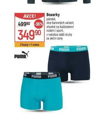 Globus Boxerky nabídka