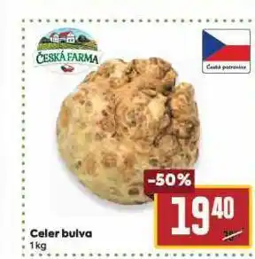 Billa Celer bulva nabídka