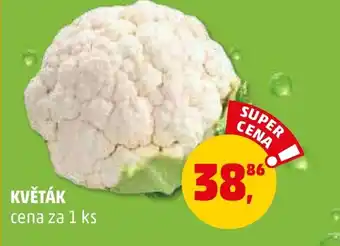Penny Market KVĚTÁK nabídka