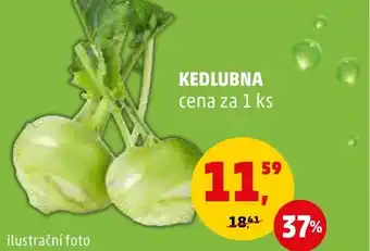 Penny Market KEDLUBNA nabídka