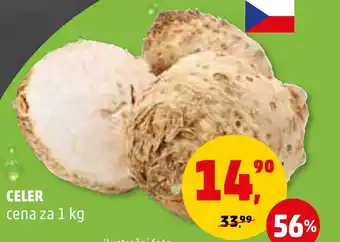Penny Market CELER nabídka