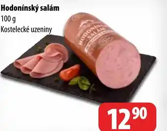 Hodonínský salám
