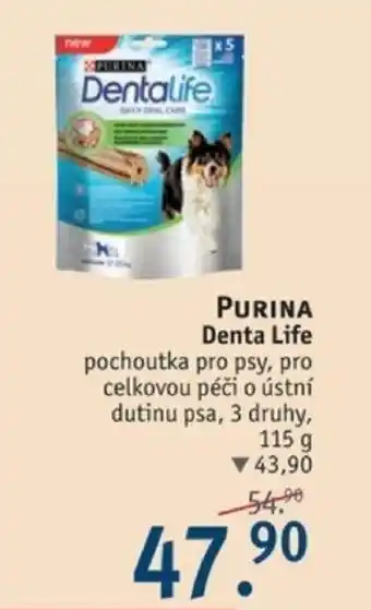 Rossmann PURINA Denta Life nabídka