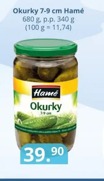 Potraviny CZ Okurky 7-9 cm Hamé nabídka