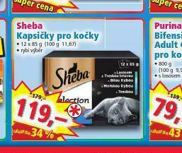 Norma Sheba kapsičky pro kočky nabídka