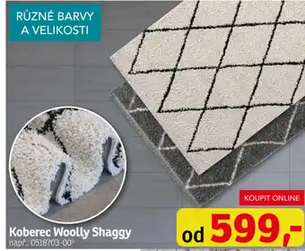 Asko Koberec Woolly Shaggy nabídka