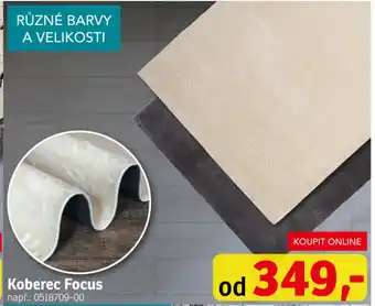 Asko Koberec Focus nabídka