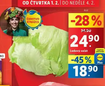 Lidl Ledový salát nabídka