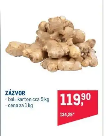 Makro ZÁZVOR nabídka