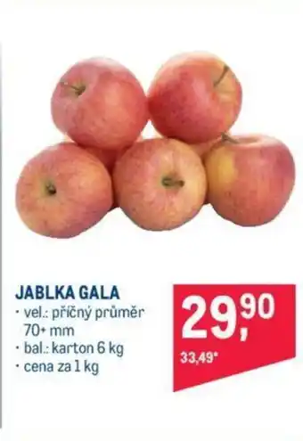 Makro JABLKA GALA nabídka