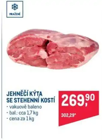 Makro JEHNĚČÍ KÝTA SE STEHENNÍ KOSTÍ nabídka