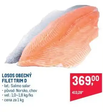 Makro LOSOS OBECNÝ FILET TRIM D nabídka